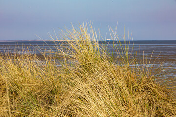 Dünenlandschaft an der Nordsee bei Ebbe