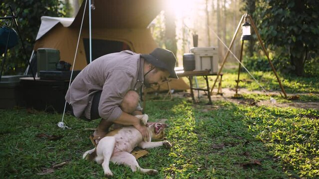 Asian man playing with a dog while camping in the forest