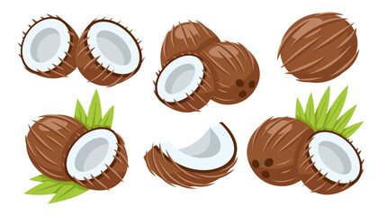 Set of coconut icons isolated on white background. Cartoon style. Vector illustration