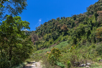 Fototapeta na wymiar Landscape in Volcan Baru National Park, Chiriqui, Panama
