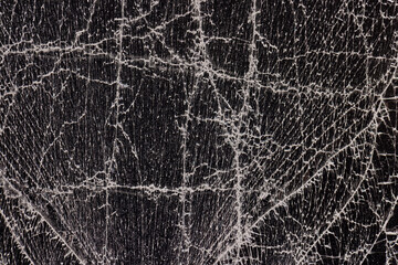 glass broken into a large number of pieces and cracks