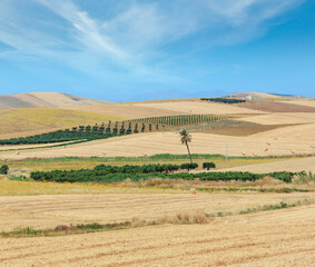 Fototapeta na wymiar Beautiful landscape of Sicily summer countryside in Italy.