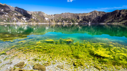 Fototapeta na wymiar algae, clear water and emerald green lake of the Quilotoa volcanic caldera with a beautiful blue sky