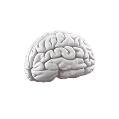 human brain model, created with Generative AI Technology