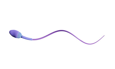Image of a single sperm with a transparent background. A sperm with an acrosome swims with its tail gently rotating.