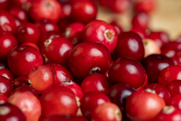 Red ripe cranberries harvested in swamps