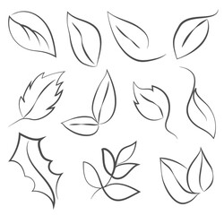 Set of leaves in line art style, sketch drawing, symbolizing eco, ecology