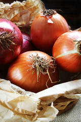 Onion closeup. Onions on the rustic paper. Brazilian spices. Seasonings.