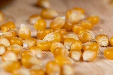 dry corn for cooking and popcorn