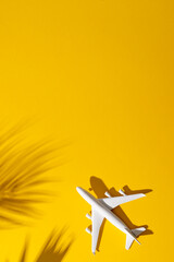 Close up of airplane model with leaves shadows on yellow background with copy space