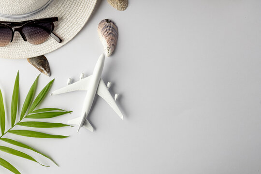 Airplane model, straw hat, sunglasses, plant and seashells on white background with copy space