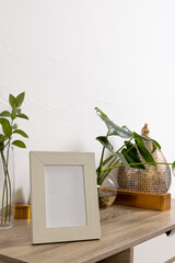 Vertical of empty wooden frame with copy space on shelf and plants in pots against white wall