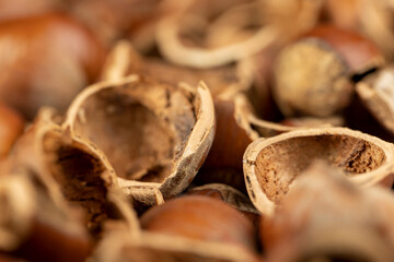 debris left after peeling the hazelnuts from the shell