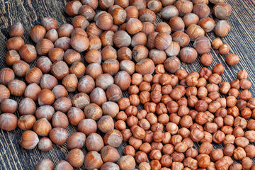 peeled hazelnut nuts close-up on the table