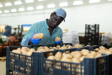 Hired food warehouse worker checks the quality of the harvested potato crop