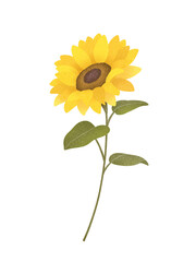 シンプルなひまわりのイラスト