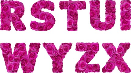 font with pink roses