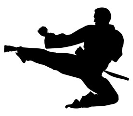 Silhouette of Martial Artist Kick (Taekwondo, Karate, Pencak Silat, Kungfu) for Logo or Graphic Design Element. Format PNG