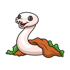 Cute black eyed leucistic reticulatus python cartoon out from hole