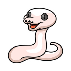Cute black eyed leucistic reticulatus python cartoon