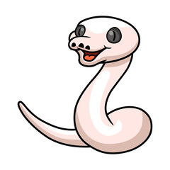 Cute black eyed leucistic reticulatus python cartoon