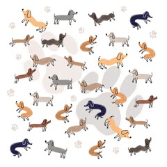 cute Dachshund pattern background
