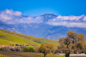 Fototapeta na wymiar Santa Ynez spring landscapes with widflowers 