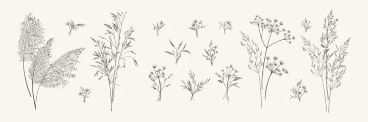 Foto op Canvas Collection of bouquets of meadow herbs. Botanical set with wild herbs. Black and white. Line art style. Vector illustration. © Anna