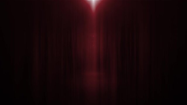 レンズフレア パーティクル 発表 緞帳 BG003_RED