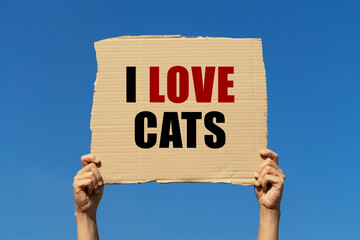 I love cats text on box paper held by 2 hands with isolated blue sky background. This message board...