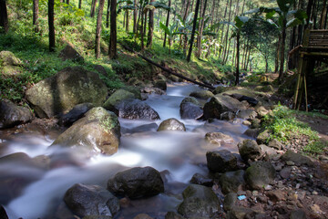 the beauty of the river flow in the mountains surrounded by tropical rainforest