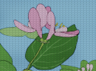 Illustration. Cross stitch. Honeysuckle, flowers. Floral background, collage. Texture of flowers. Pattern, compositions from flowers. Embroidery.