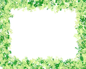 Fototapeta na wymiar 淡い緑のグラデーションの葉っぱ模様のフレーム