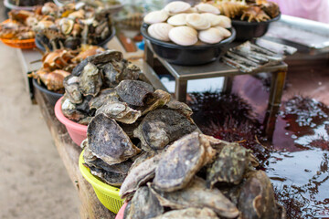 variety of live shells at the seafood market