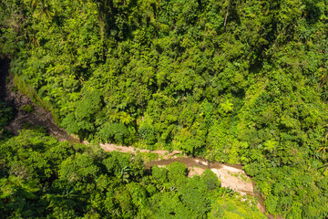 Jungle from a height with a small dry river