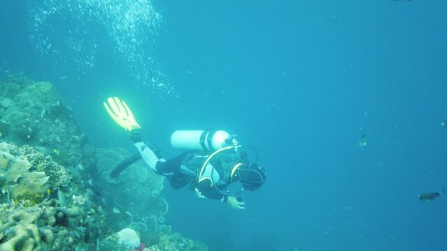 Scuba diver under the water enjoying the underwater scenery and coral reef. Leyte, Philippines.