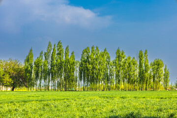 Background beautiful landscape with beautiful sky