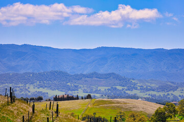 Naklejka premium hiking in Santa Ynez in spring with wildflowers and birds