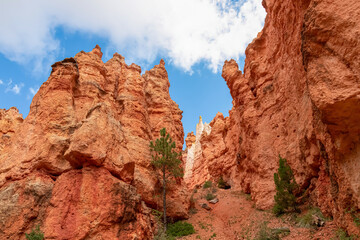 Peekaboo hiking trail with scenic close up view of massive steep hoodoo sandstone rock formation in Bryce Canyon National Park, Utah, USA. Barren desert landscape in natural amphitheatre in summer