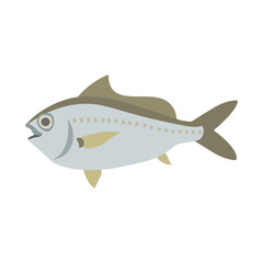 クロサギ（魚）。フラットなベクターイラスト。
Japanese Silver Biddy. Flat designed vector illustration.