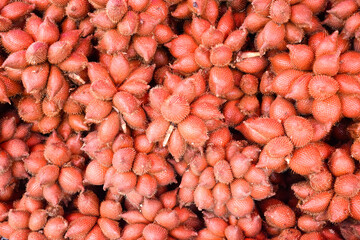 Close-up red salacca wallichiana fruit group for sale in a market. Top view.