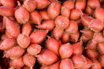 Close-up red salacca wallichiana fruit group for sale in a market. Top view.