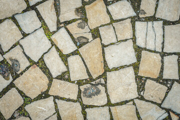 A road paved with stones, a green grass between stones on the sidewalk