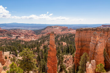 Panoramic aerial view from Fairyland hiking trail on massive hoodoo sandstone rock formations in Bryce Canyon National Park, Utah, USA. Pine tree forest on bottom. Unique nature in barren landscape