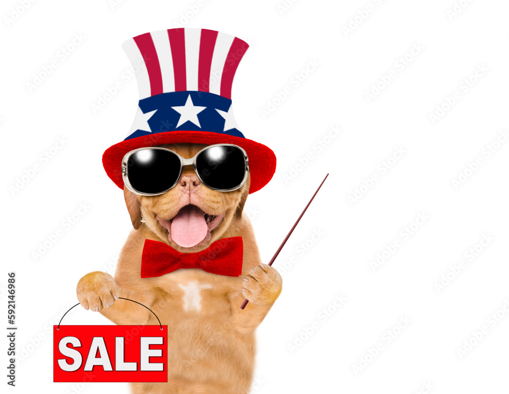 Poster happy mastiff puppy wearing like uncle sam points away on empty space and shows signboard with label