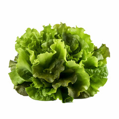 lettuce isolated on white background Generative AI
