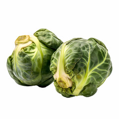 cabbage isolated on white background Generative AI