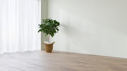 Empty room in minimal style with white wall, wooden floor and green plant in the pot near the...