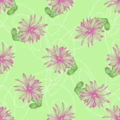 Foto auf Acrylglas Vector seamless pattern with different cactus. Bright repeated texture with green cacti. Natural hand drawing background with desert plants for fabric, paper and other printing and web projects. © samiradragonfly