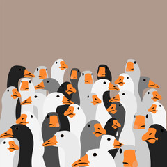 goose. a flock of geese. poultry of various colors. goose head. vector image